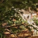 ザ ストリングス 博多のフェア画像