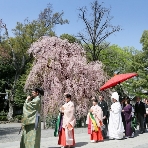 大國魂神社 結婚式場のフェア画像