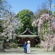 大國魂神社　結婚式場のフェア画像