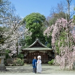 大國魂神社 結婚式場のフェア画像
