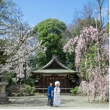 大國魂神社　結婚式場のブライダルフェア画像