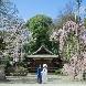 大國魂神社 結婚式場のフェア画像