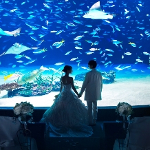 サンシャイン　スカイブライダル:【AQUA&SKYプラン】貸切サンシャイン水族館挙式 ★選べる 展望スカイレストランでの披露宴♪