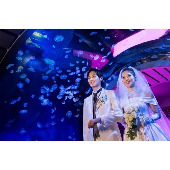 結婚式場：お盆BIG★地上210m★選べる３つの絶景レストランW★水族館挙式♪
