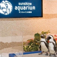 サンシャイン　スカイブライダル：【2027年4～5月限定】空と海の融合★絶景レストラン＆水族館挙式