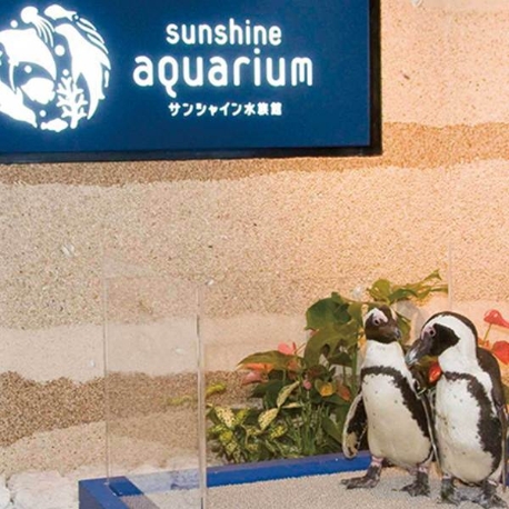 サンシャイン　スカイブライダル：【年内挙式なら】空と海の融合★人気絶景レストラン＆水族館挙式