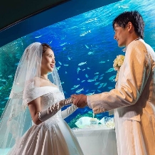 サンシャイン　スカイブライダル:【2027年3月中旬迄の期間限定プラン】カジュアル水族館パーティ×挙式 1.5次会にもオススメ