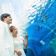 サンシャイン　スカイブライダル:【今ならお得！2027年春婚プラン】2027年3～4月対象 ＼水族館挙式＆パーティ／賢く叶うプラン