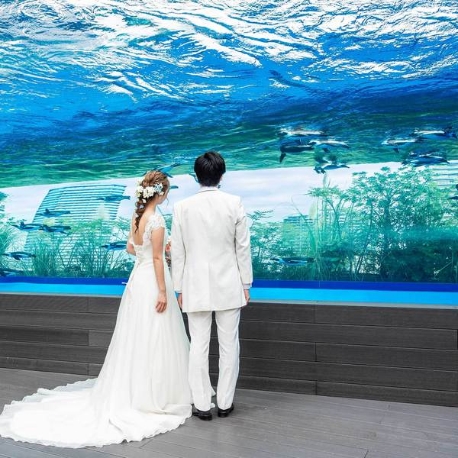 サンシャイン　スカイブライダル：【直前予約OK】クイックフェア◇空飛ぶペンギンも見学×相談会