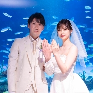 サンシャイン　スカイブライダル：【水曜日限定】アクアリウム挙式×水族館でビュッフェパーティ