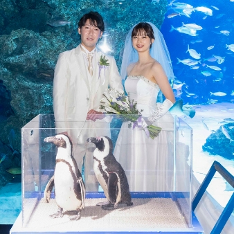 サンシャイン　スカイブライダルのフェア画像