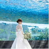 サンシャイン　スカイブライダルのブライダルフェア画像