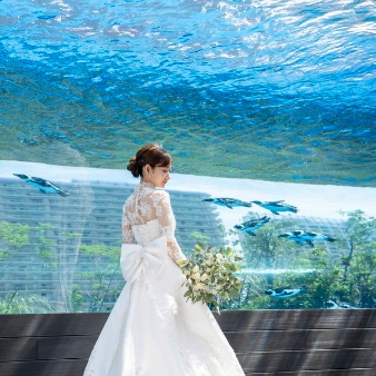 結婚式場：【直前予約OK】クイックフェア◇空飛ぶペンギンも見学×相談会