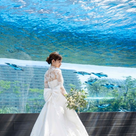 サンシャイン　スカイブライダル：【直前予約OK】クイックフェア◇空飛ぶペンギンも見学×相談会