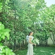 Miel Citron（ミエルシトロン）のフェア画像