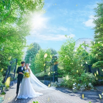 目白の森 メーヤー・ライニンガーのフェア画像