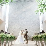 目白の森　メーヤー・ライニンガーのフェア画像