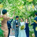 目白の森 メーヤー・ライニンガーのフェア画像