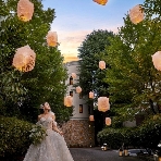 目白の森　メーヤー・ライニンガーのフェア画像