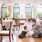 目白の森 メーヤー・ライニンガーのフェア画像