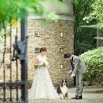 目白の森 メーヤー・ライニンガーのフェア画像