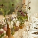 THINGS Aoyama Organic Garden.dthのフェア画像