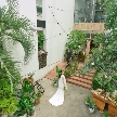 THINGS Aoyama Organic Garden.dth：＜平日限定10大特典付＞THINGSと創るふたりらしい結婚式