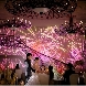 Casa d' Angela Aoyama(カサ・デ・アンジェラ青山)のフェア画像
