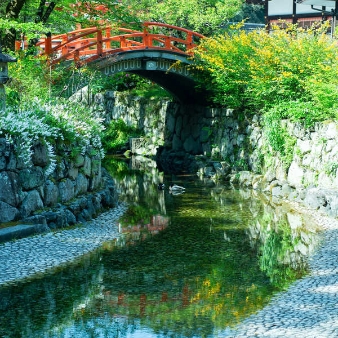 下鴨神社（賀茂御祖神社）のフェア画像