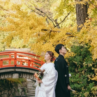 下鴨神社（賀茂御祖神社）のフェア画像