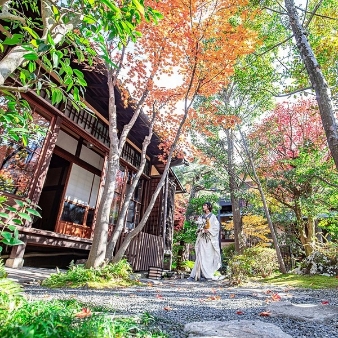 京都祝言 ＳＨＵ：ＧＥＮのフェア画像