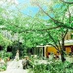 パラッツォ ドゥカーレ 麻布のフェア画像