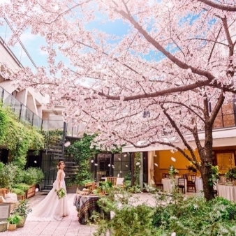 結婚式場：【桜と美食でおもてなし】春の貸切ガーデンW体験*アマギフ1.5万