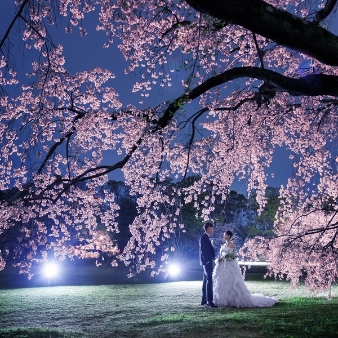 結婚式場：増席【桜フェア】最大55万円優待×豪華試食×春彩る桜色スイーツ