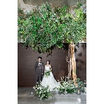 センティール・ラ・セゾン 岐阜のフェア画像