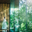 ＴＲＵＮＫ　ＨＯＴＥＬのフェア画像