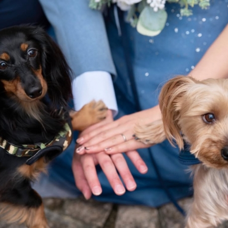 オワゾブルー山形：【愛犬と一緒に♪】オワゾブルーで叶えるペット婚フェア
