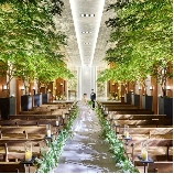 ザ ストリングス 表参道のブライダルフェア画像