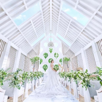 ラピスコライユのフェア画像