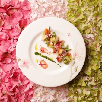 Pinco Picon(ピンコピコン)のフェア画像