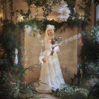 結婚式場：【組数限定】世界観から創るオーダーメイド結婚式相談会