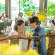 MIRAIE Wedding（ミライエ ウエディング）のフェア画像