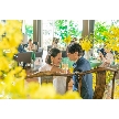 MIRAIE Wedding(ミライエ ウエディング):<30名からOK>料理重視のアットホームウエディング相談会