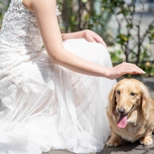 ＬＡＺＯＲ　ＧＡＲＤＥＮ　ＮＡＧＯＹＡ（ラソール　ガーデン・名古屋）:＜通年／ペットウエディング＞大切な家族の一員と一緒に
