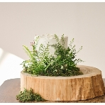 THE GRAND HOUSE(グランドハウス)のフェア画像