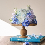 THE GRAND HOUSE(グランドハウス)のフェア画像