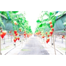 LE GRAND Accueillir（グラン アクイール）のフェア画像