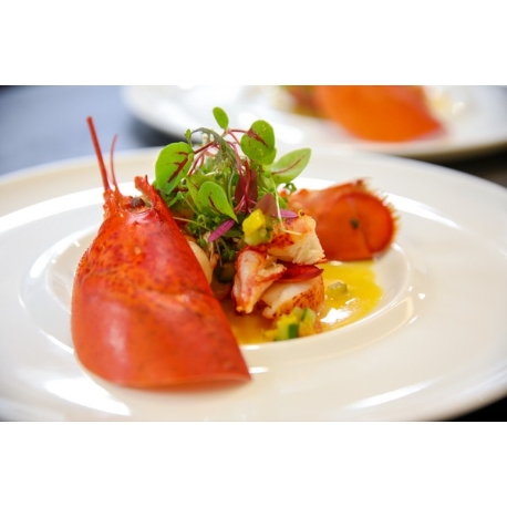 LE GRAND Accueillir（グラン アクイール）：【1件目のご来館がおトク】シェフ厳選の料理試食×絶景挙式体験