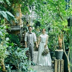 MEDI(メディー)のフェア画像