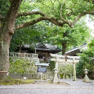 つま恋リゾート 彩の郷（さいのさと）：【小國神社・事任八幡宮提携】遠江和婚物語☆平日限定フェア☆